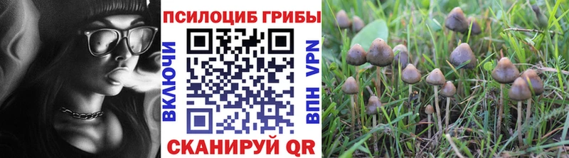 Галлюциногенные грибы ЛСД  купить наркотик  omg ONION  Юрьевец 
